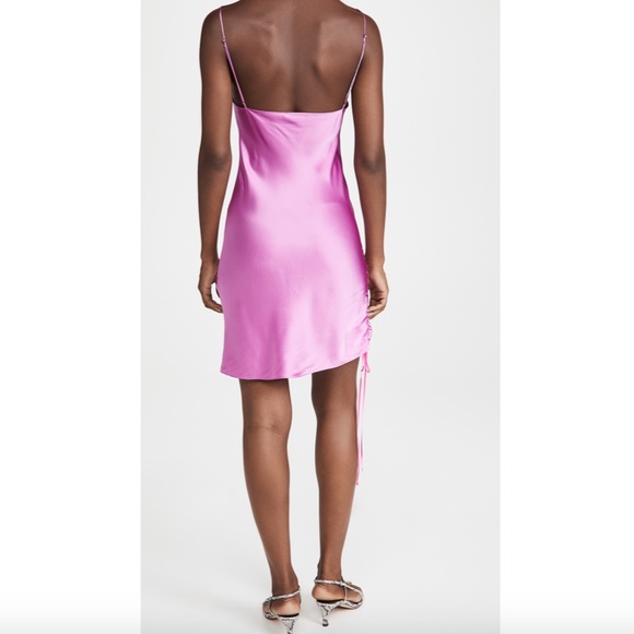 NWT DANNIJO 100% Silk Ruched Side Slip Dress - Picture 7 of 16